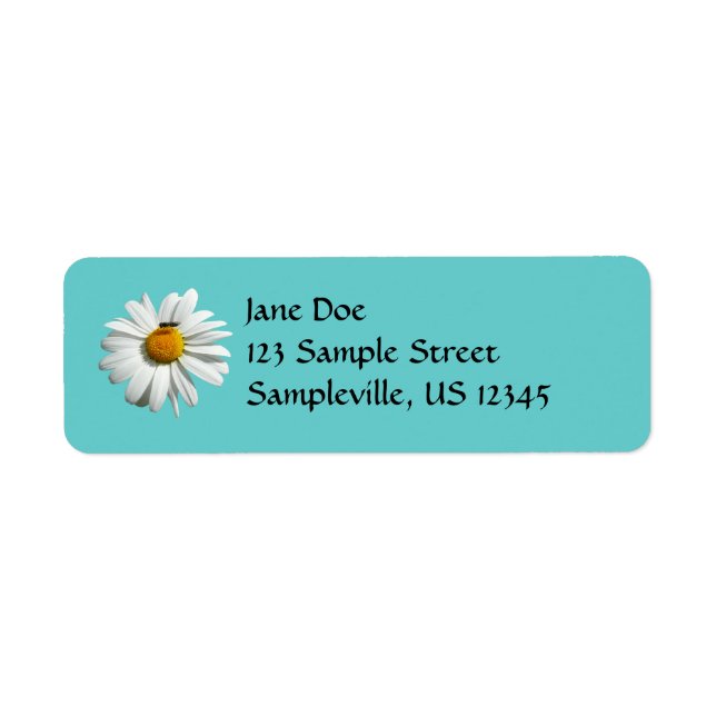 Bee on Daisy Alaskan Summer Nature Photo (Front)