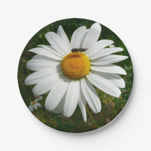 Bee on Daisy Alaskan Summer Nature Photo Paper Plate
