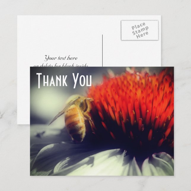 Bee On Flower Partial Colour Thank You Postcard (Front/Back)