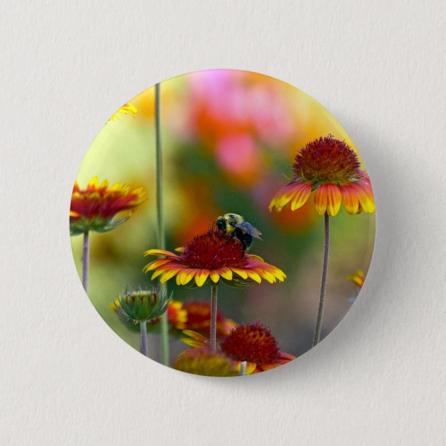 Bee on Gaillardia 2 Inch Round Button (Front)