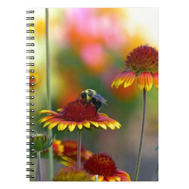 Bee on Gaillardia Notebook (Front)