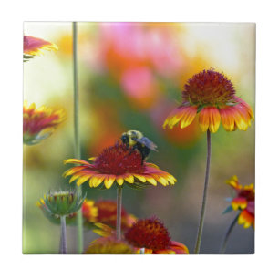 Bee on Gaillardia Tile