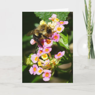 "Bee on Lantana." Greeting Card