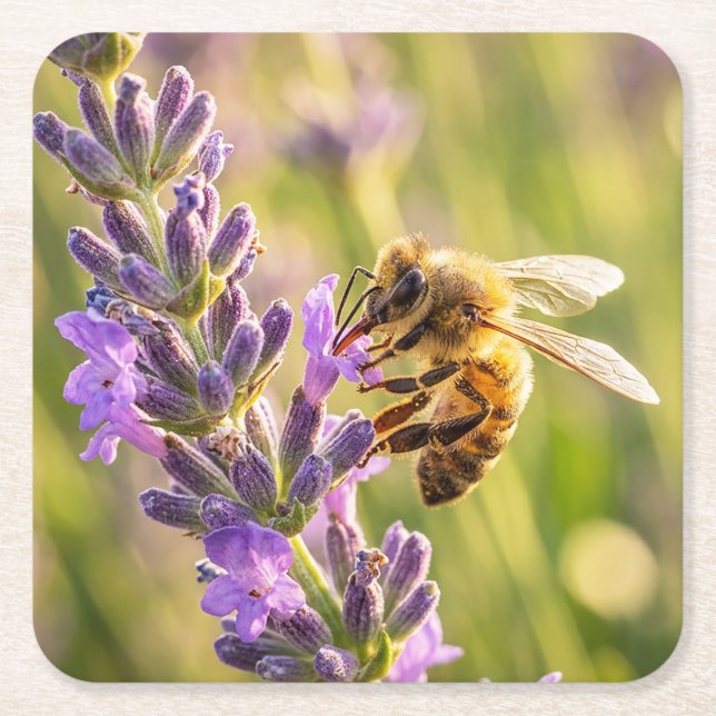 Bee on Lavender Square Paper Coaster (Front)
