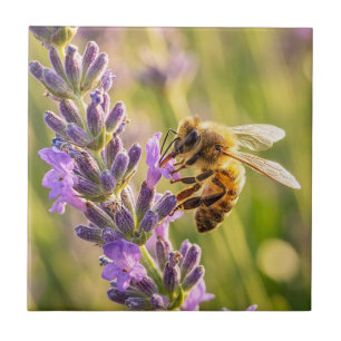 Bee on Lavender Tile