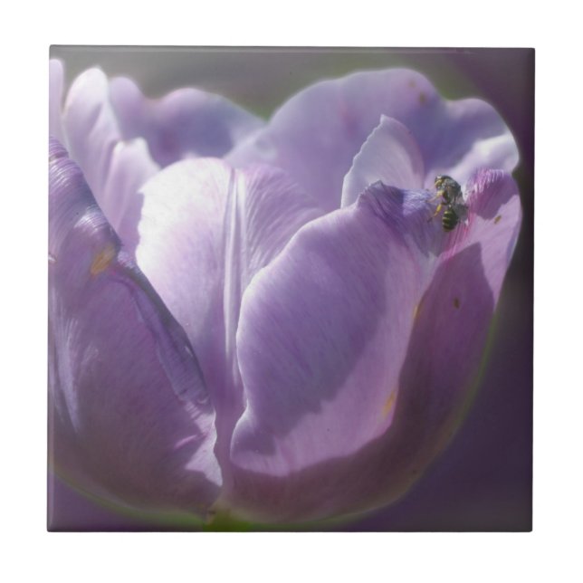 Bee On Lavender Tulip Flower Nature Tile (Front)