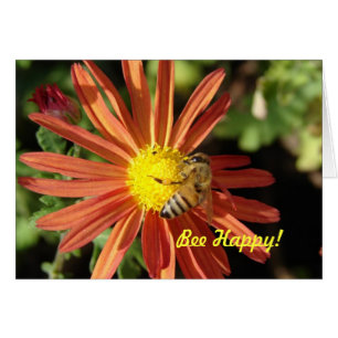 Bee on maman, Bee Happy !