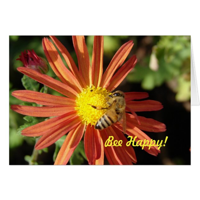 Bee on maman, Bee Happy ! (Devant horizontal)