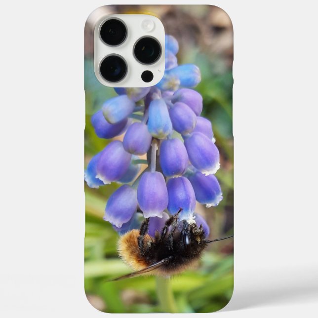 Bee on Muscari Armeniacum , Grape Hyacinth Case-Mate iPhone Case (Back)