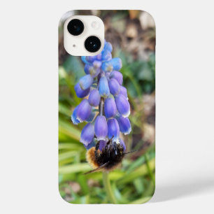 Bee on Muscari Armeniacum , Grape Hyacinth Case-Mate iPhone 14 Case