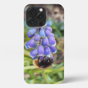 Bee on Muscari Armeniacum , Grape Hyacinth iPhone 13 Pro Case