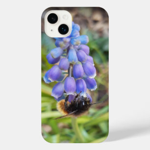 Bee on Muscari Armeniacum , Grape Hyacinth iPhone 14 Plus Case