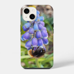 Bee on Muscari Armeniacum , Grape Hyacinth iPhone 14 Case