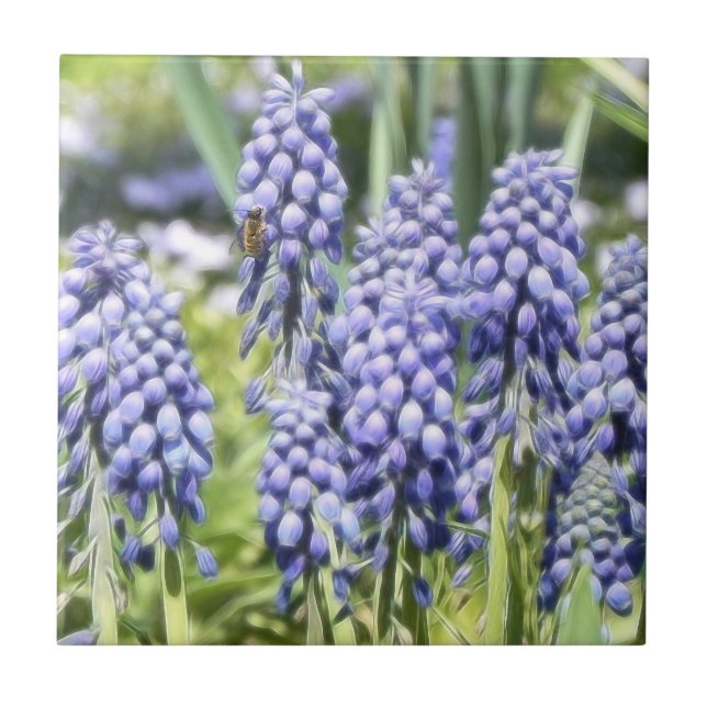 Bee On Muscari Flowers Tile (Front)