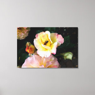 Bee on Pink Yellow Roses Flowers Canvas Print