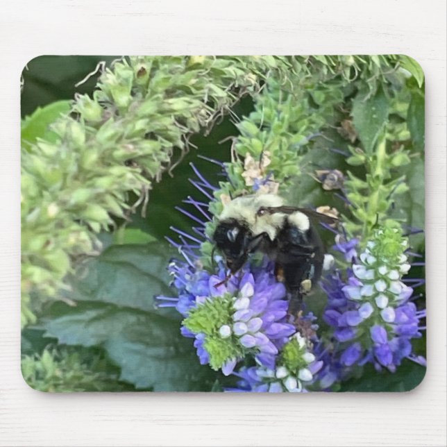 Bee on Purple Flower Mouse Pad (Front)