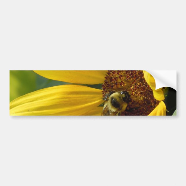 Bee on Sunflower Bumper Sticker (Front)