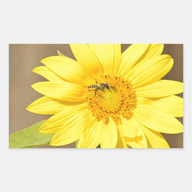 Bee on Sunflower Sticker (Front)