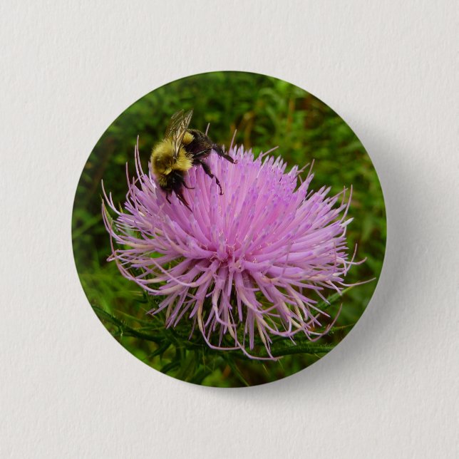 Bee on Thistle Flower Nature 2 Inch Round Button (Front)