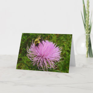 Bee on Thistle Flower Nature Card