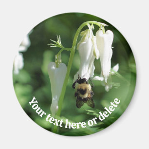 Bee On White Columbine Flower Personalized Magnet