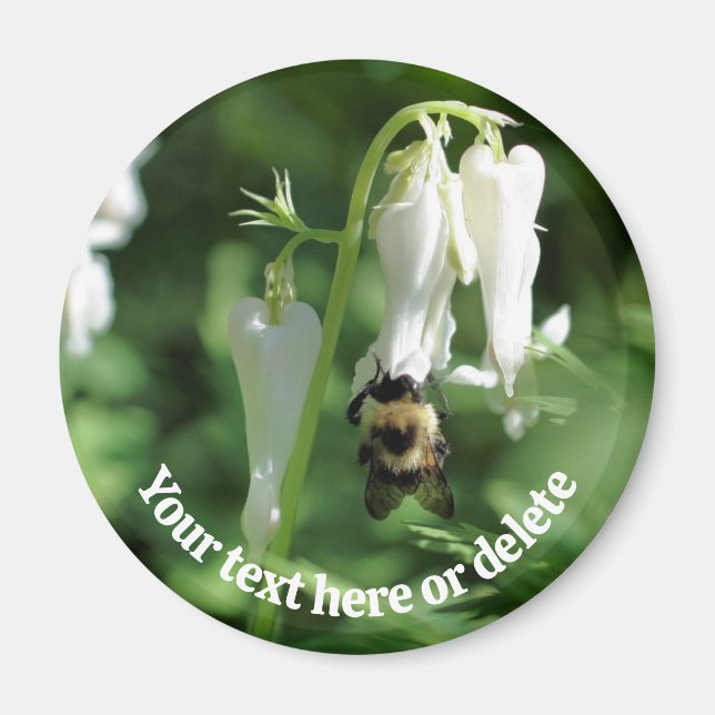 Bee On White Columbine Flower Personalized Magnet (Front)