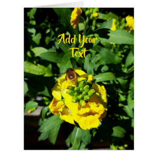 Bee on Yellow Flowers