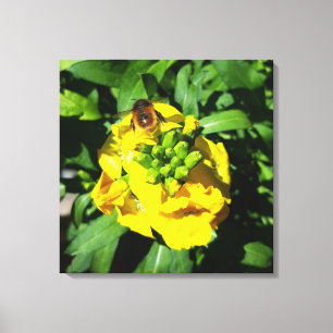 Bee on Yellow Flowers Canvas Print