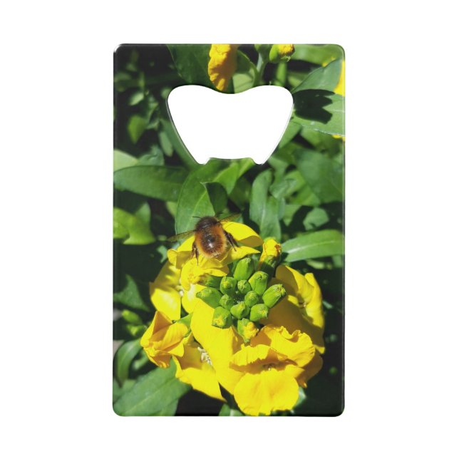 Bee on Yellow Flowers Credit Card Bottle Opener (Front)