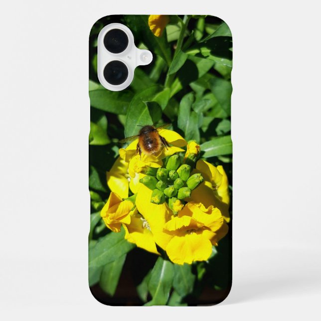 Bee on Yellow Flowers iPhone Case (Back)