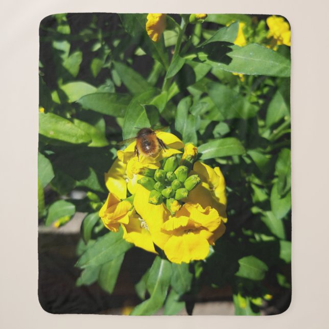 Bee on Yellow Flowers Sherpa Blanket (Front)