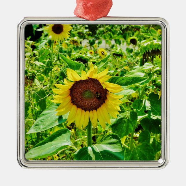 Bee on yellow Sunflower Metal Ornament (Front)