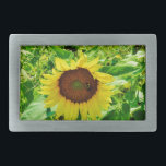 Bee on yellow Sunflower Rectangular Belt Buckle<br><div class="desc">Sunflower field. Photo taken by artist Sandy Closs. Fall and autumn background of a sunny field of yellow and gold sunflowers. Personalize with your own text. Autumn,  sunflower, summer, yellow,  gold,  fall,  nature flower flowers garden country</div>