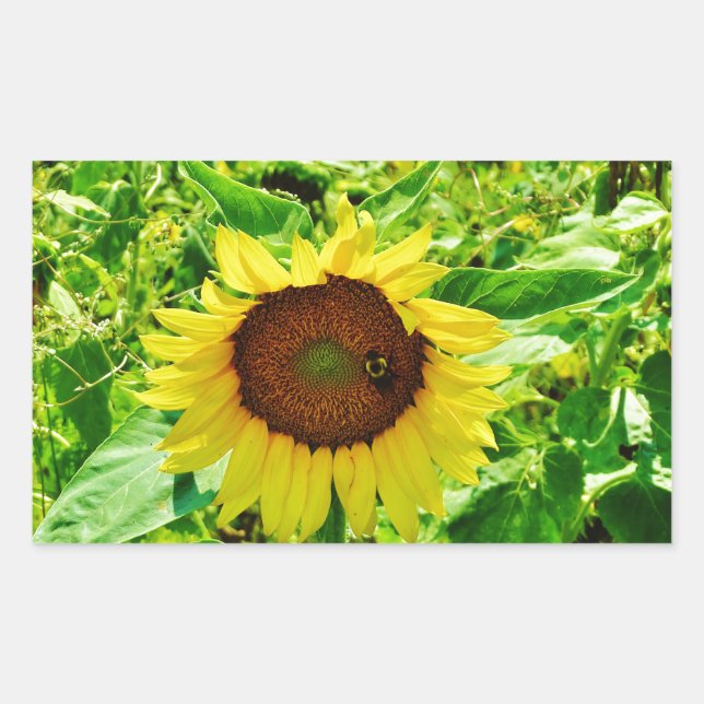 Bee on yellow Sunflower Sticker (Front)