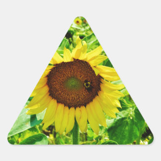 Bee on yellow Sunflower Triangle Sticker