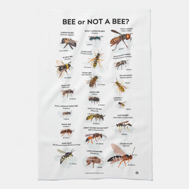 Bee or Not a Bee Kitchen Towel (Vertical)