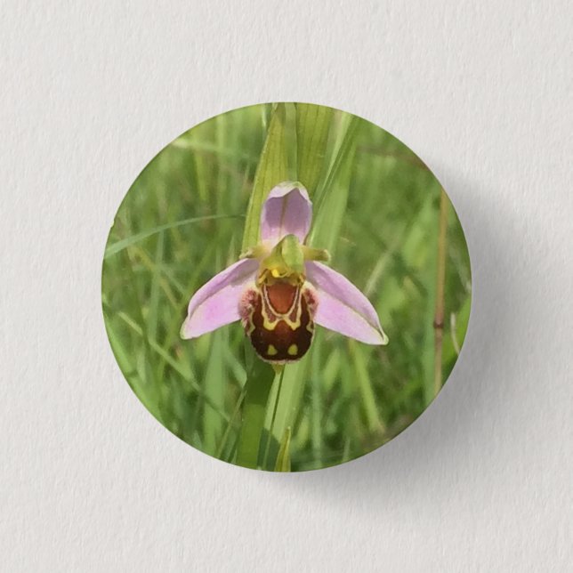 Bee Orchid Flower 1 Inch Round Button (Front)