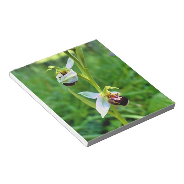 Bee Orchid Notepad (Angled)