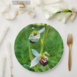 Bee Orchid Paper Plate