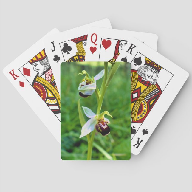 Bee Orchid Playing Cards (Back)