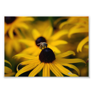 Bee Photo Print