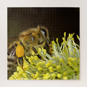 Bee Pollinating Flower Jigsaw Puzzle