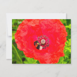 Bee  postcard