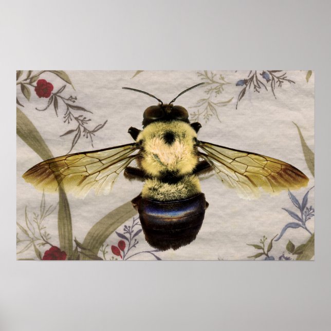 Bee Poster (Front)