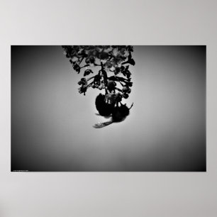 Bee, Poster