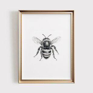 Bee Print, PRINTABLE Wall Art, Honey Bee Sketch Poster