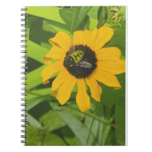 Bee Resting in a Flower Photo Notebook 