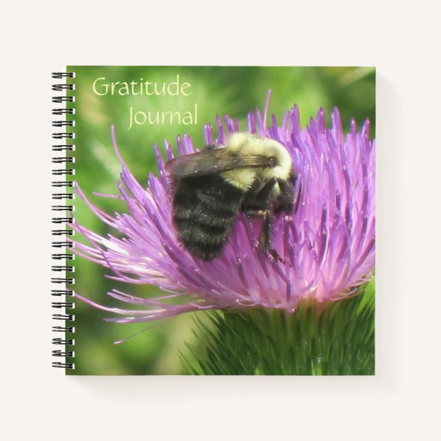 Bee Sur Thistle Gratitude Journal (Devant)