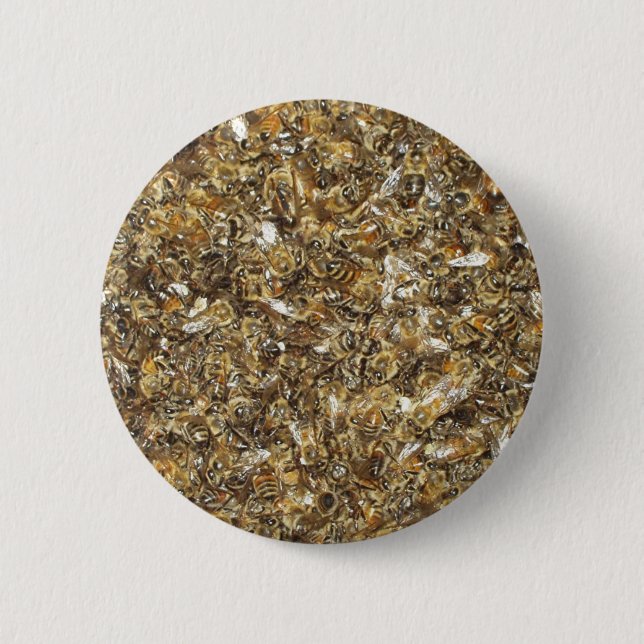 Bee swarm 2 inch round button (Front)