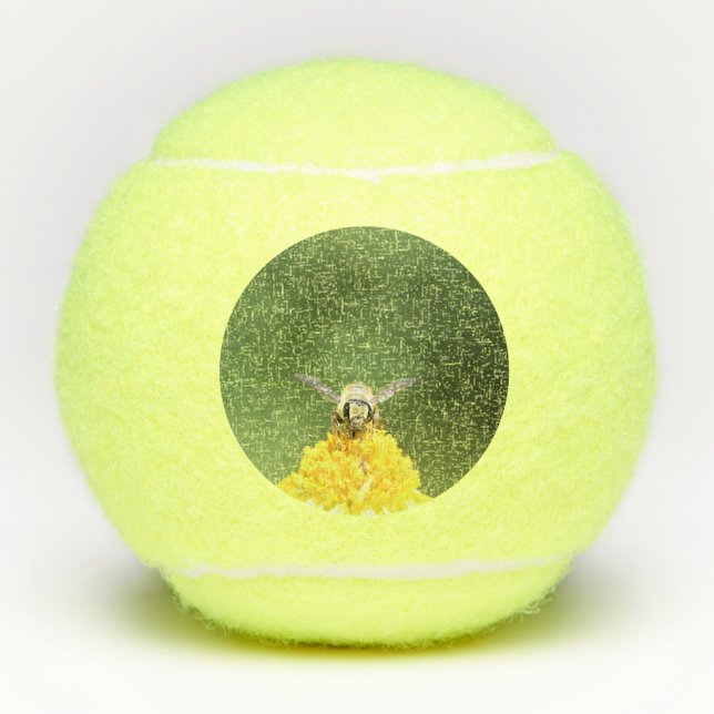 Bee  tennis balls (Front)